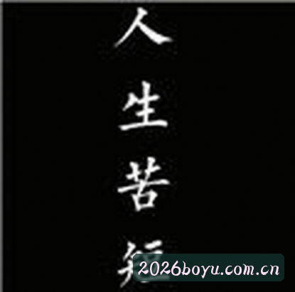 赵雪